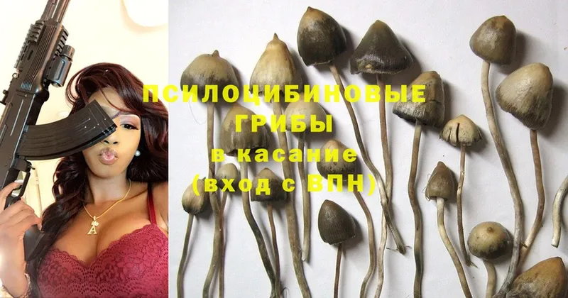 Галлюциногенные грибы Psilocybe  что такое наркотик  Байкальск 